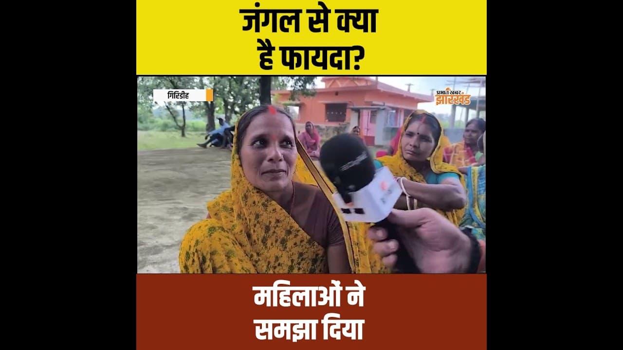 Giridih News: जंगल बचाने की वजह क्या है? इन महिलाओं की बात जरूर सुनिए | Jharkhand