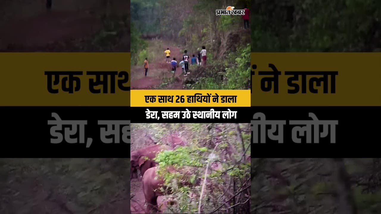 Jharkhand-Odisha से सटे सीमा क्षेत्र Novamundi में एक साथ 26 हाथियों ने डाला डेरा, सहमे ग्रामीण