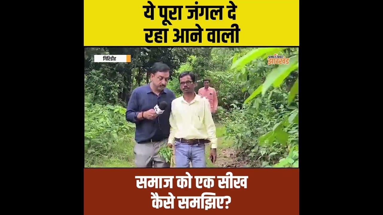 Giridih: पूरा जंगल दे रहा एक बड़ी सीख, क्या आप समझ पा रहे हैं प्रकृति का संदेश? | Jharkhand