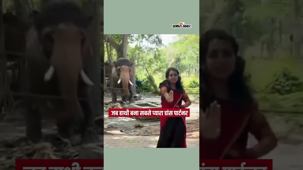 जब Elephant बना सबसे प्यारा Dance Partner | Shorts | Viral Dance | Cute Moment | Heart warming