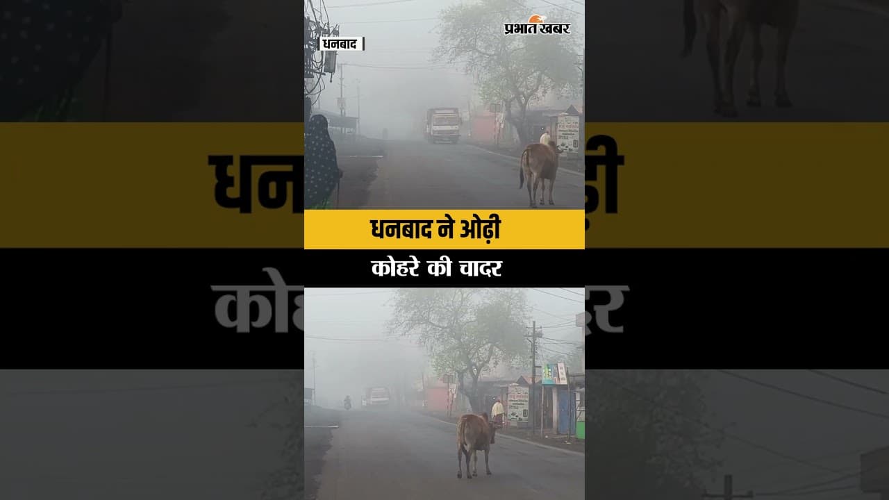 Jharkhand Weather : Dhanbad ने ओढ़ी कोहरे की चादर, हर तरफ छाया कोहरा