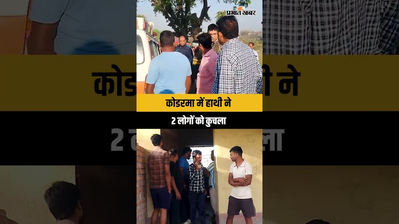 Jharkhand : Koderma में हाथी ने 2 लोगों को कुचल कर मार डारा, डर में ग्रामीण