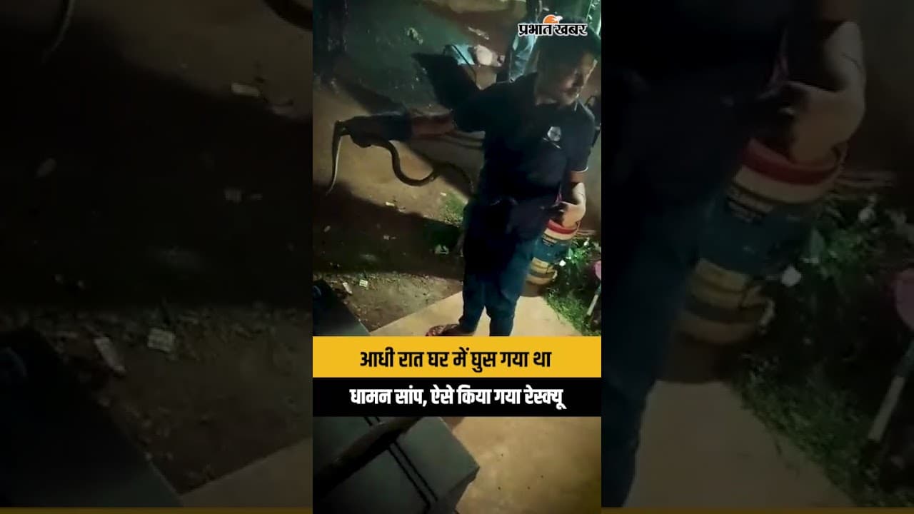 Jharkhand : Novamundi में आधी रात घर से पकड़ा गया धामन सांप, चारों तरफ मची अफरा-तफरी