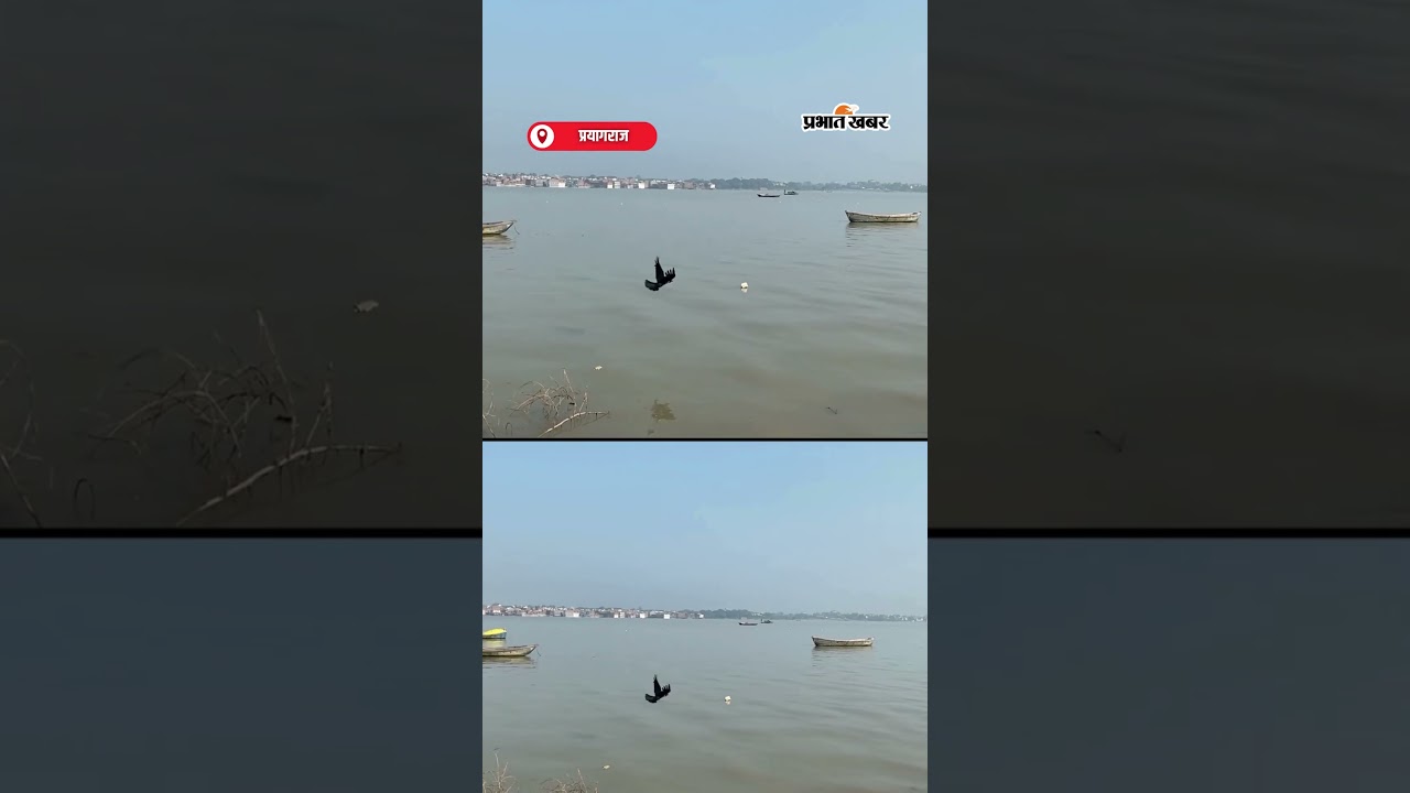 Prayagraj Flood: संगमनगरी में बाढ़ ने मचाई तबाही स्थानीय लोगों की बढ़ी मुश्किलें | Shorts