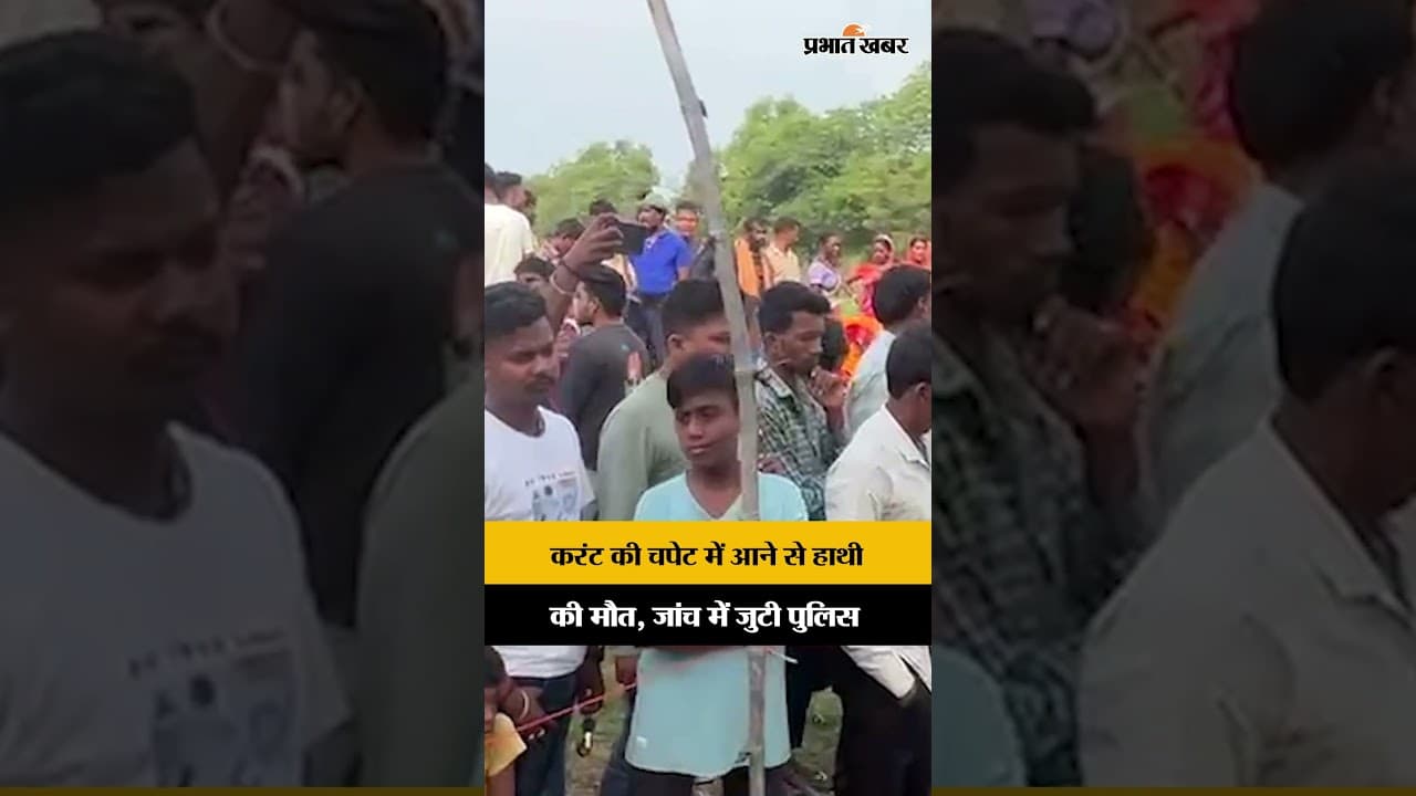 Jharkhand : Chandil के कुकड़ू  में करंट लगने से हाथी की मौत, जांच में जुटी पुलिस