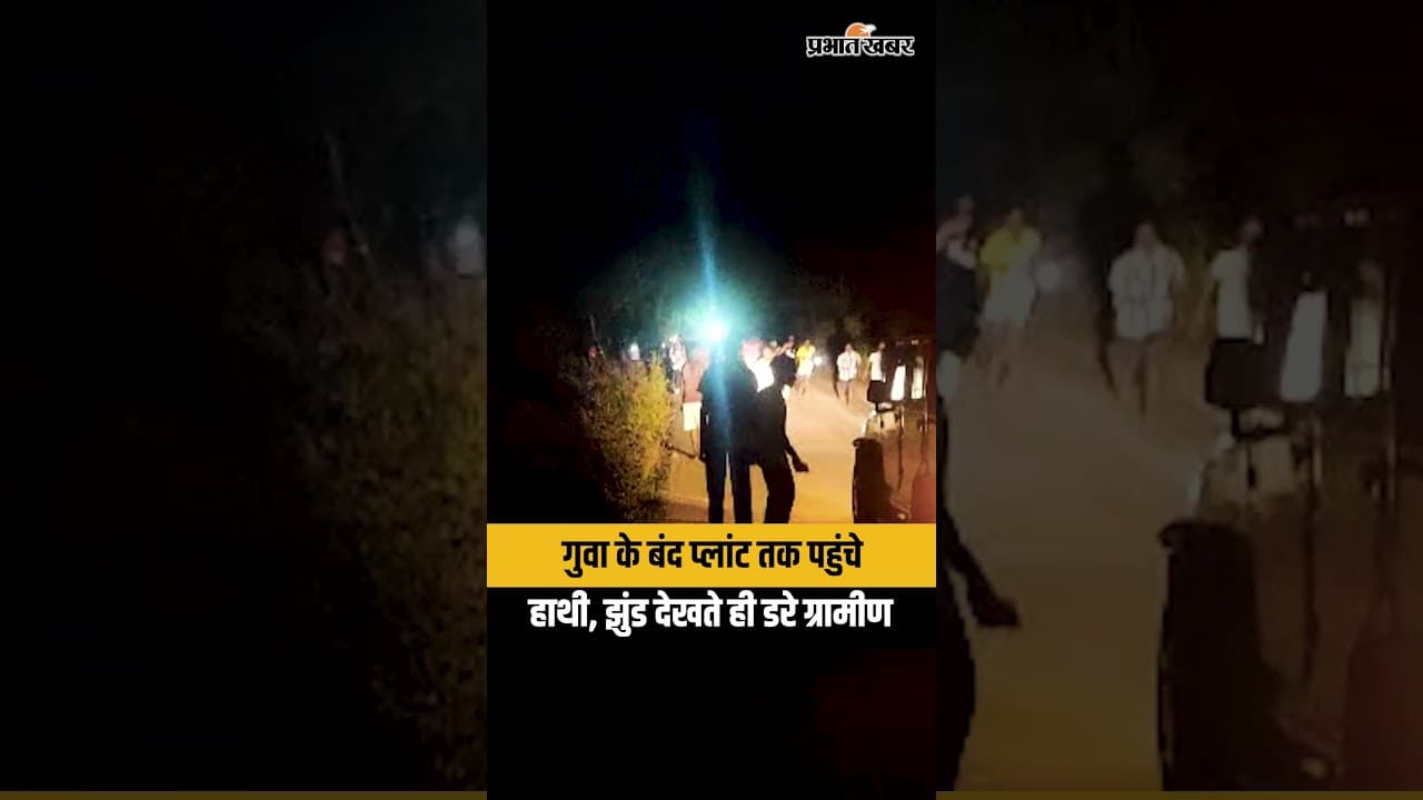 Jharkhand : Gua के नुइंया गांव पहुंचा 4 हाथियों का झुंड, बंद प्लांट के पास देखते ही सहमे ग्रामीण