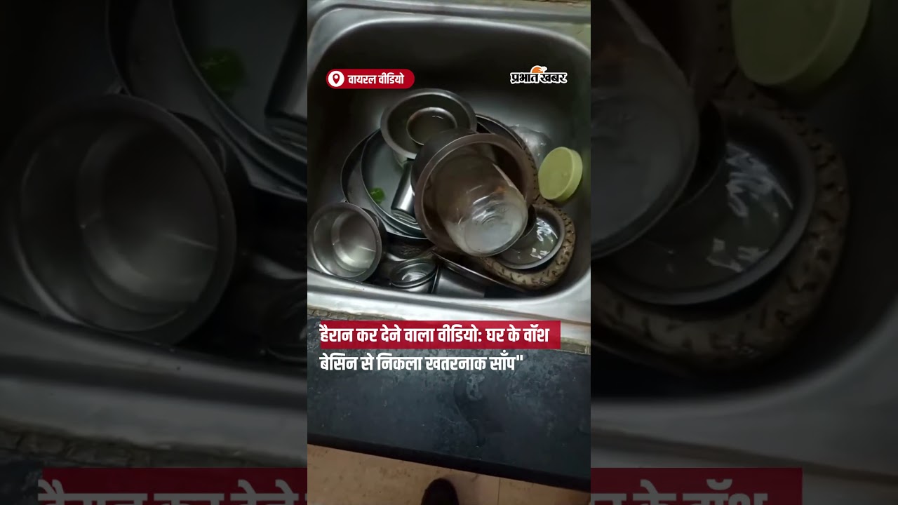 Viral video: वॉश बेसिन में छिपा खतरनाक साँप देखकर उड़ जाएंगे होश