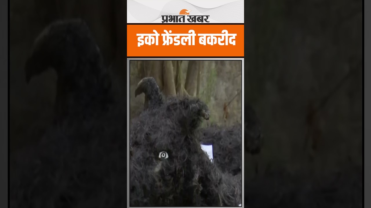 Eco Friendly Bakried का क्या है पूरा कॉन्सेप्ट