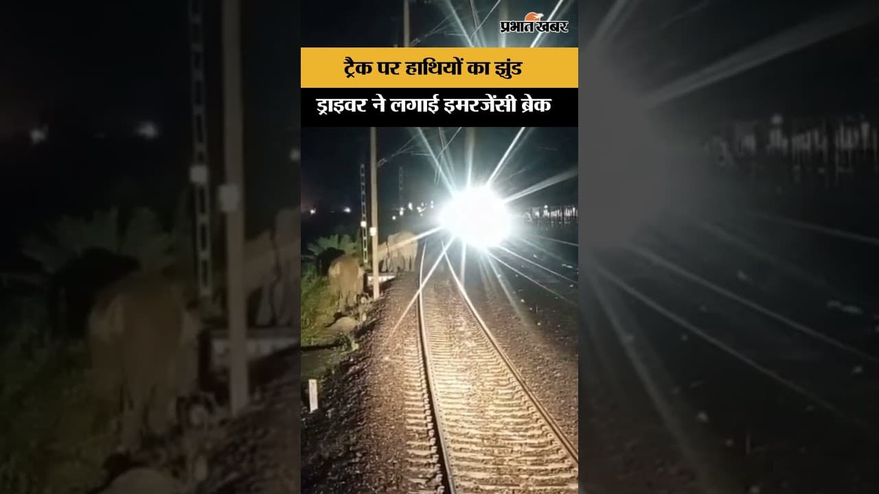 लोको पायलटों ने इमरजेंसी ब्रेक लगाकर हाथियों के झूंड को बचाया | Jharkhand
