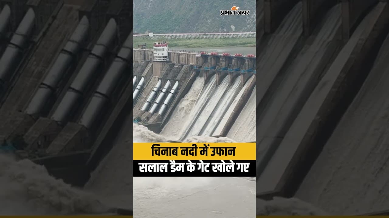 Salal Dam Gates Opened: चिनाब नदी में भारी जलप्रवाह के बाद खुले सलाल डैम के गेट | Jammu Kashmir News