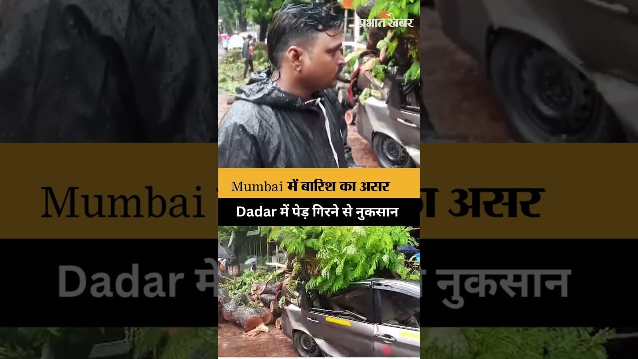 Mumbai Rain: Dadar में पेड़ गिरा, कार को नुकसान