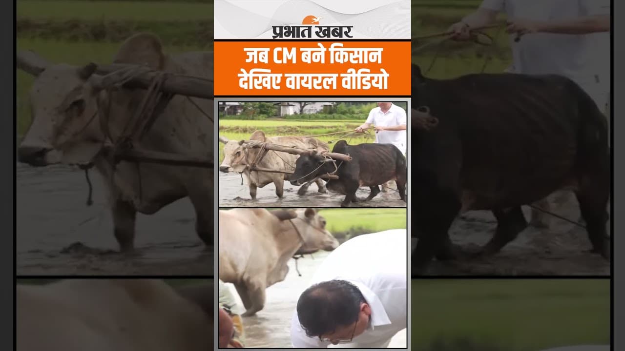 Uttarakhand CM Pushkar S Dhami बने किसान, देखिए वायरल वीडियो