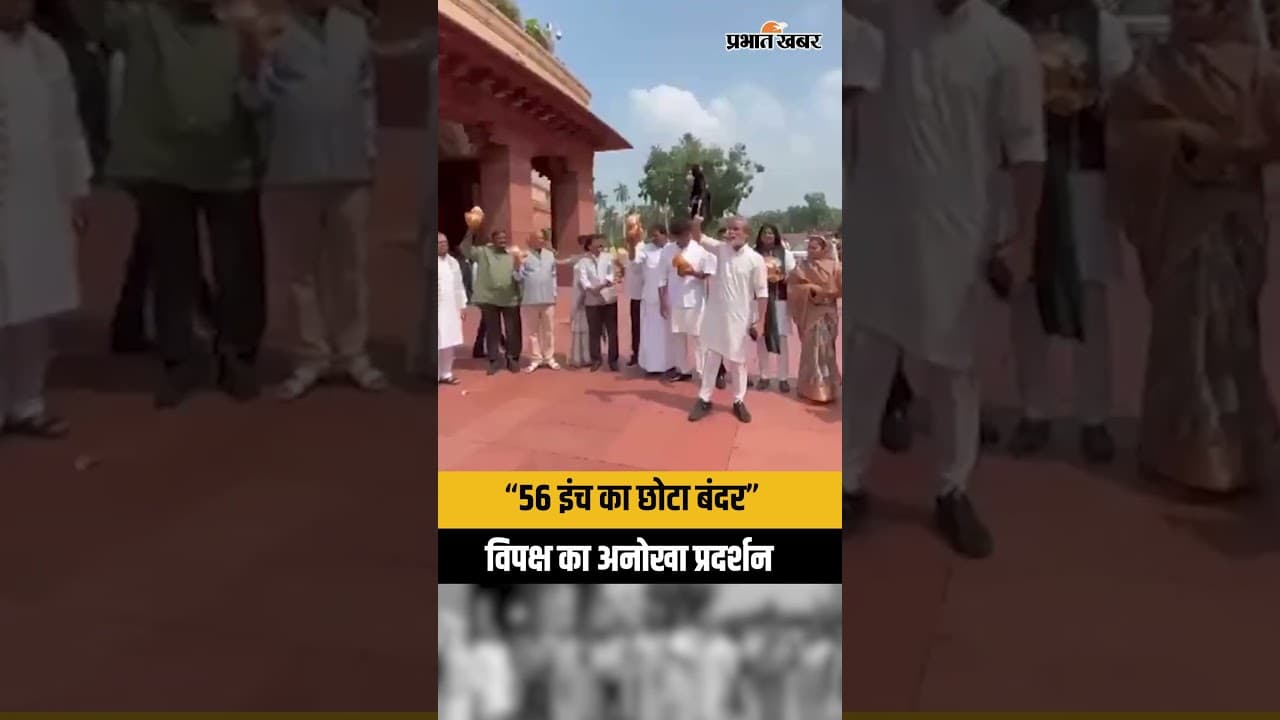 संसद परिसर में विपक्ष का अनोखा प्रदर्शन, खिलौना बंदर लेकर लगाए नारे | Pawan Khera