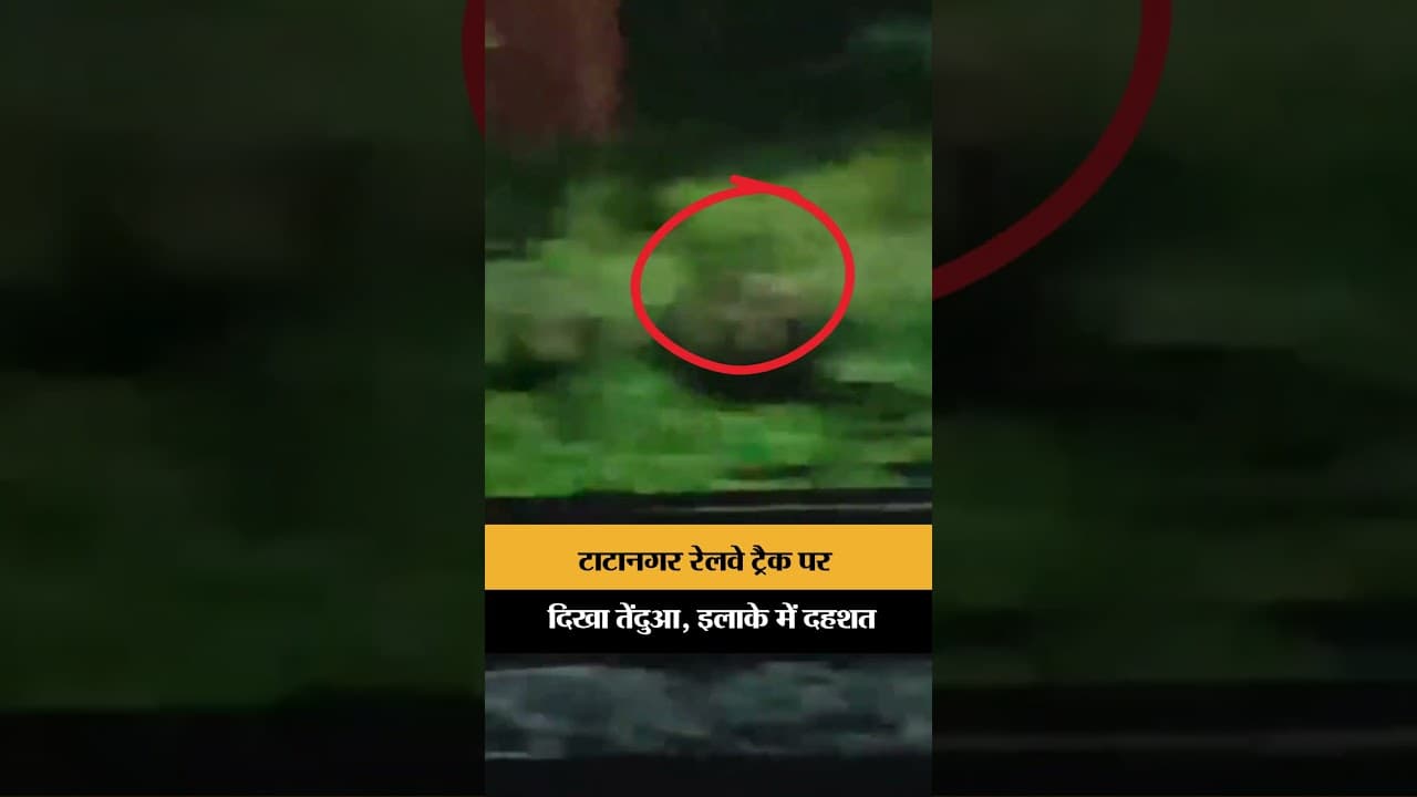 टाटानगर रेलवे ट्रैक पर दिखा तेंदुआ, इलाके में दहशत | Jharkhand