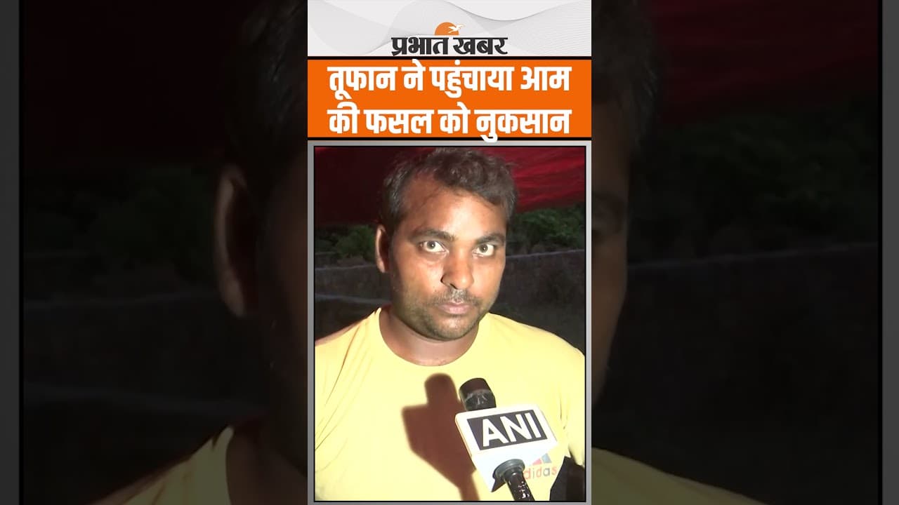 Amroha में आई आंधी-तूफान ने पहुंचाया आम की फसल को नुकसान, विक्रेताओं ने जताई चिंता | Shorts | UP