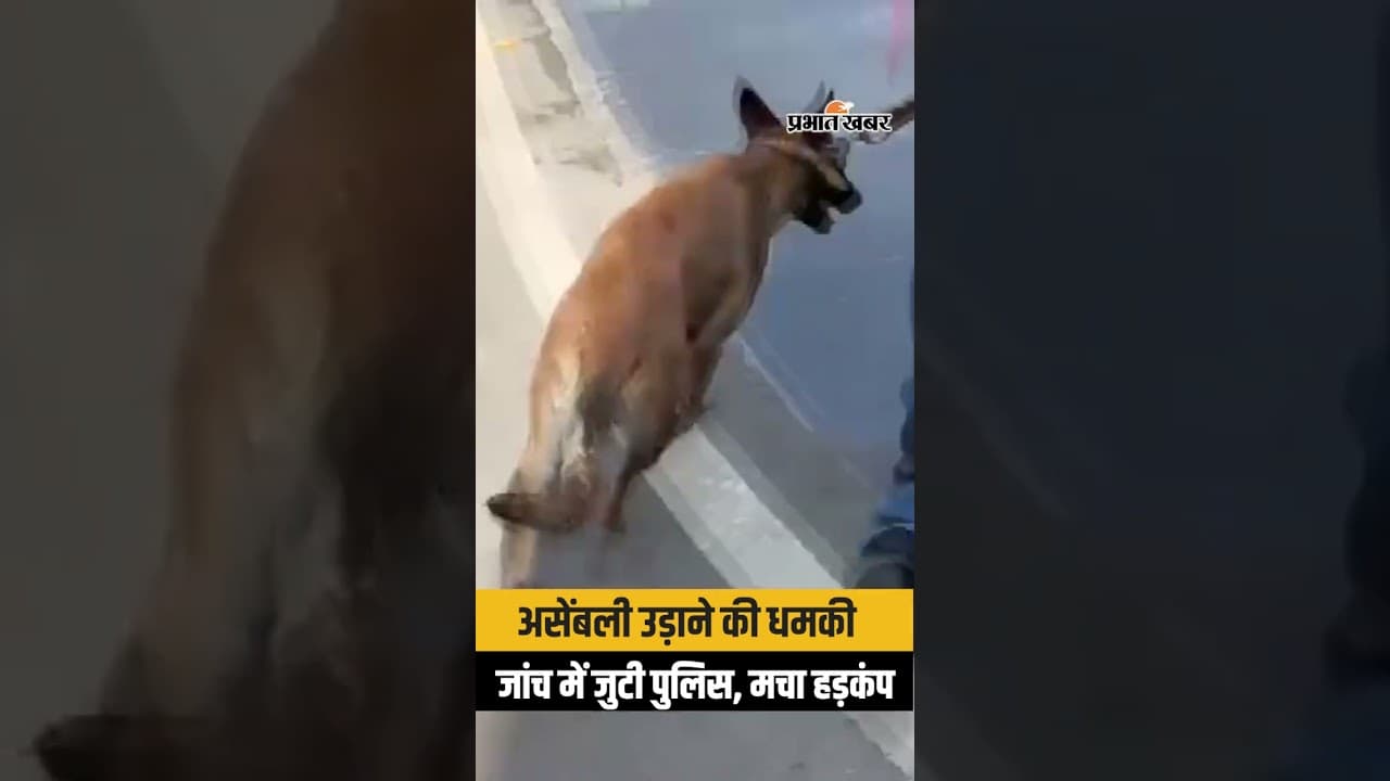 दिल्ली असेंबली पर बम धमकी, Budget Session के बीच मचा हड़कंप...
