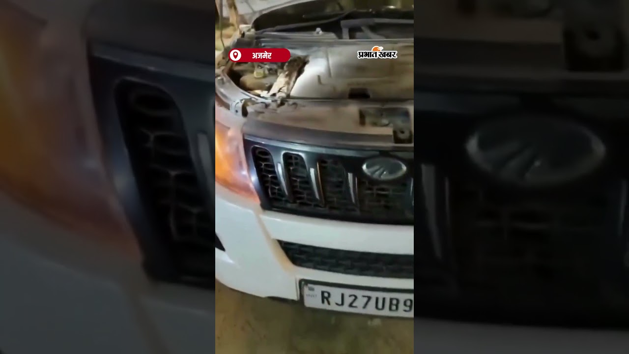 Car के अंदर छिपा अजगर, देख कर दंग रह गए लोग