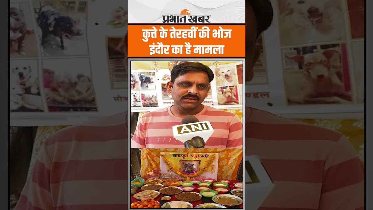 Indore के Street Dog 'Kalu' के तेरहवीं के भोज का आयोजन