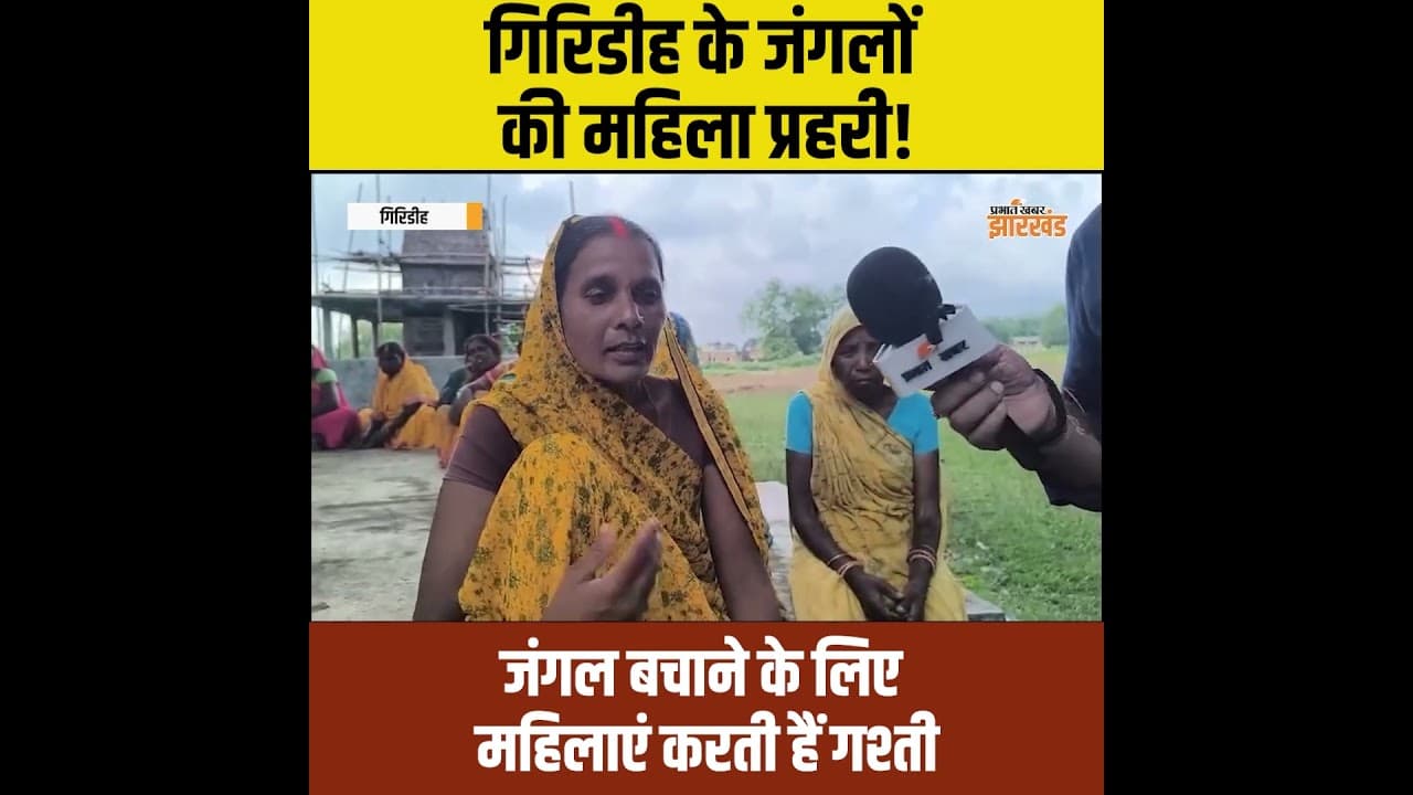 Giridih: जंगल बचाने का अनोखा अभियान! गिरिडीह में महिलाएं करती हैं जंगल की रखवाली | Jharkhand