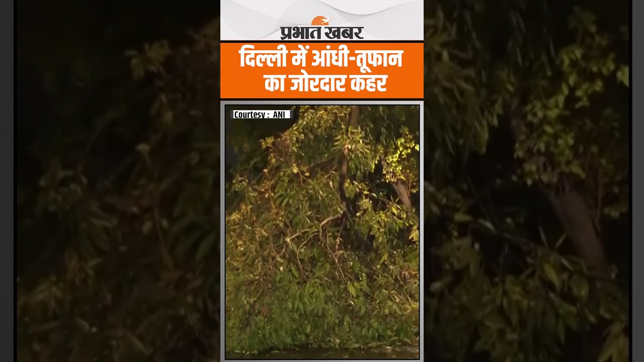 Delhi में तेज आंधी ने गिरा दिया पेड़,मंजर देख सब हुए हैरान | Heavy Rain Warning