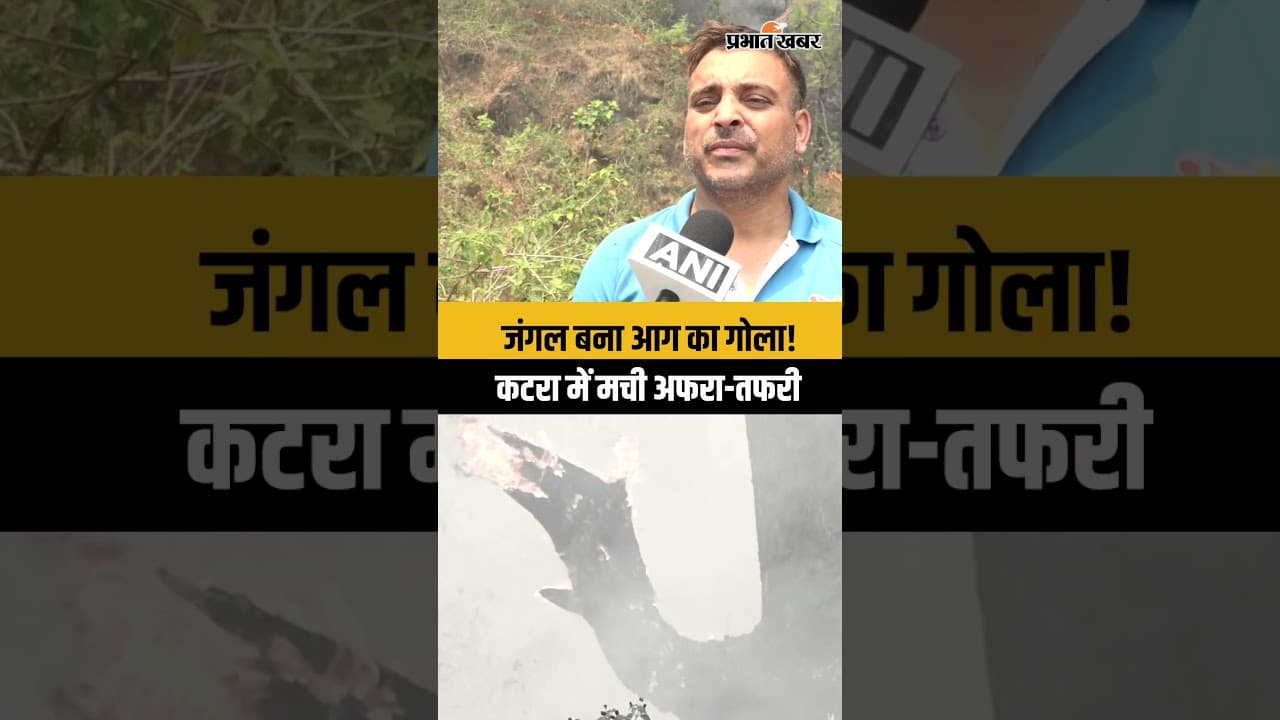 Katra Forest Fire: कटरा की पहाड़ियों में भड़की भीषण आग, कई टीमें बुझाने में जुटीं
