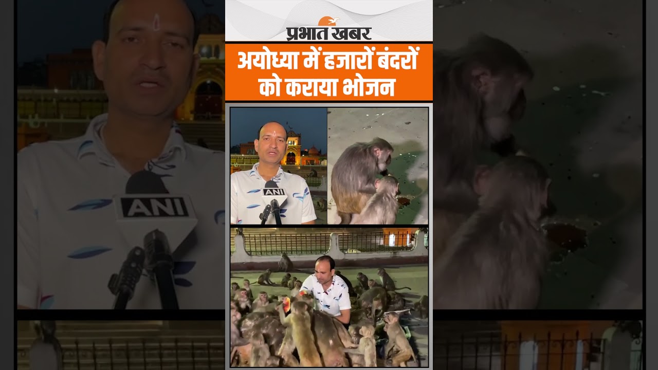 अयोध्या में हजारों बंदरों को कराया भोजन, देखें ये Video