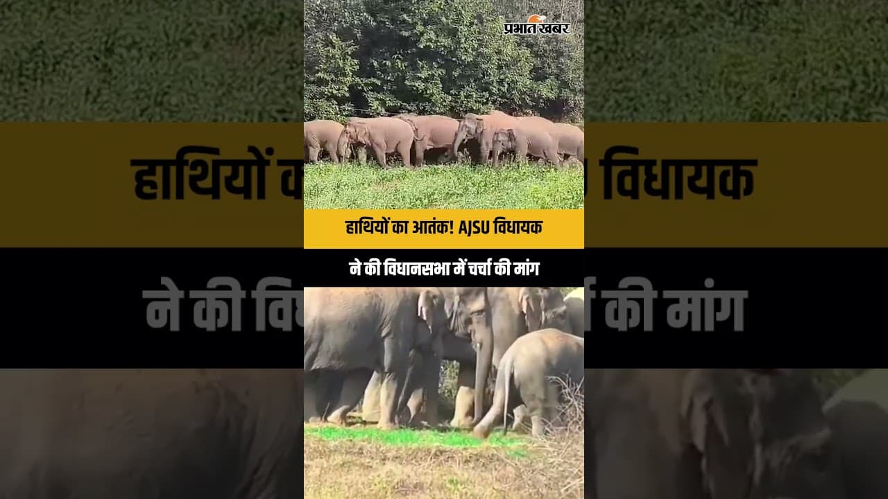 Jharkhand Vidhan Sabha Budget Session: हाथियों के उत्पात पर AJSU विधायक ने की सदन में चर्चा की मांग