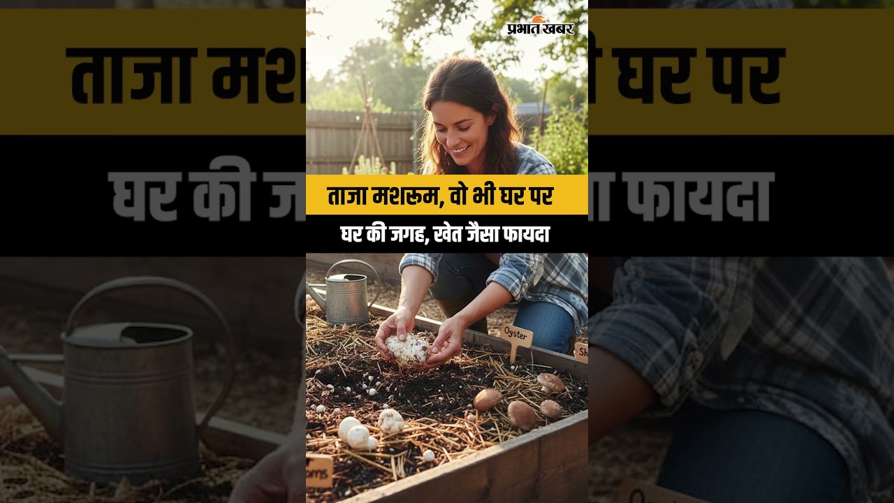 Home Farming: ताजा मशरूम, वो भी घर पर घर की जगह, खेत जैसा फायदा