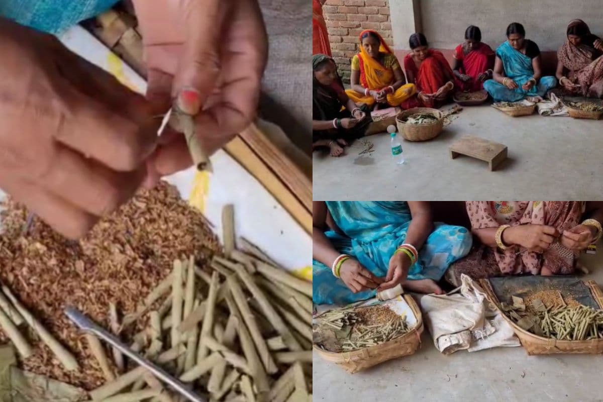 Bihar News: जिगर बीड़ी जलाने और बनाने दोनों में जलता… इस काम से जुड़ी महिलाएं मौत को दे रहीं बुलावा, ऐसी है कहानी…