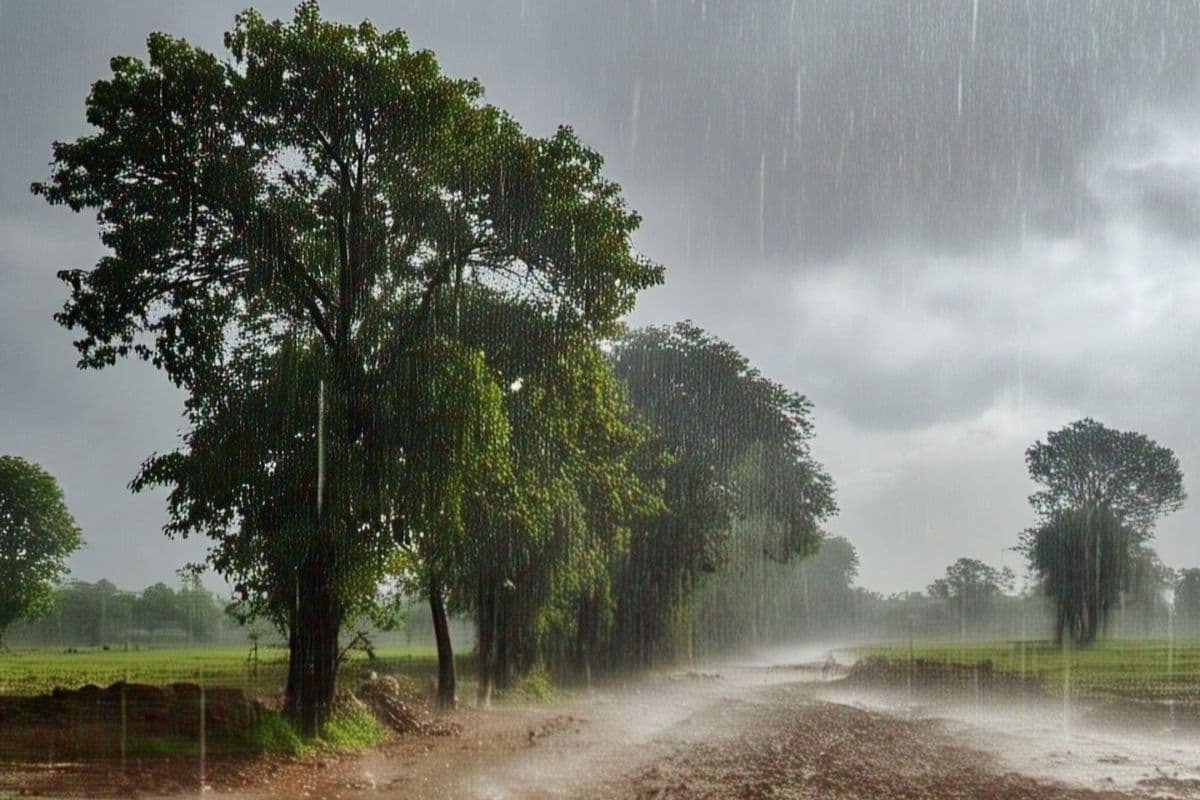 Bihar Weather: बिहार के 6 जिलों में अगले दो से तीन घंटों में होगी भारी बारिश, पूरे 7 दिन के लिए चेतावनी