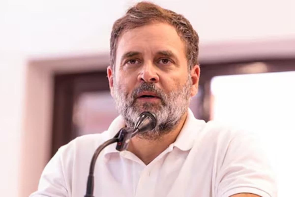 Bihar SIR: हार का ठीकरा चुनाव आयोग पर फोड़ना चाहते राहुल? कॉन्फ्रेंस पर भड़के शाहनवाज