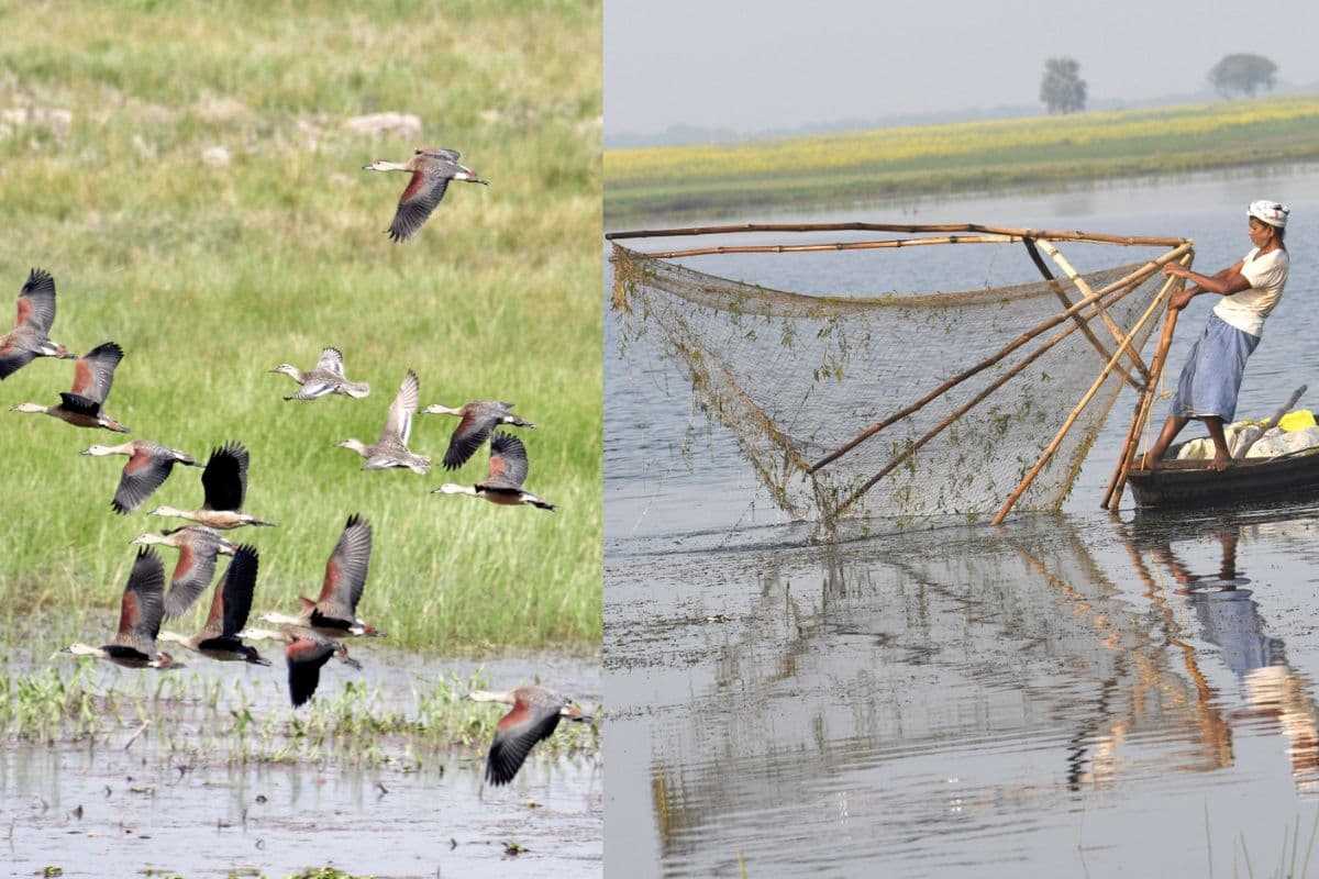 Wetlands In Bihar: बिहार में इतने वेटलैंड्स का तैयार होगा हेल्थ कार्ड, अब सेहत पर होगी कड़ी निगरानी
