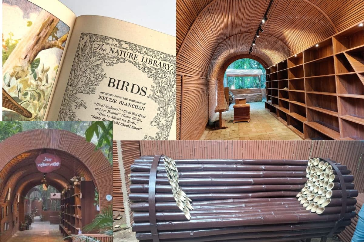 Bihar News: बिहार के इस जिले में है देश की पहली नेचर लाइब्रेरी, एडवेंचर के साथ मिलती है अनोखी जानकारी