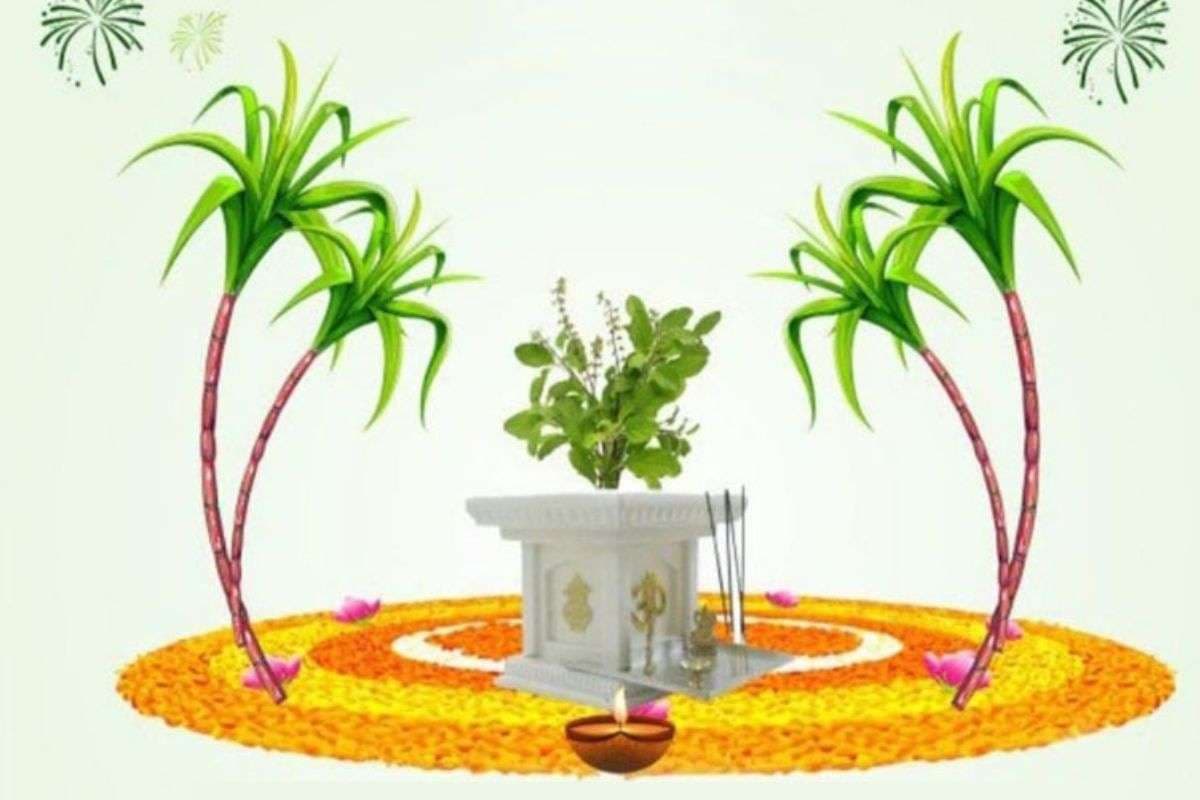 Tulsi Vivah 2025: इस दिन है तुलसी विवाह, जानें पूजा का शुभ मुहूर्त और धार्मिक महत्व