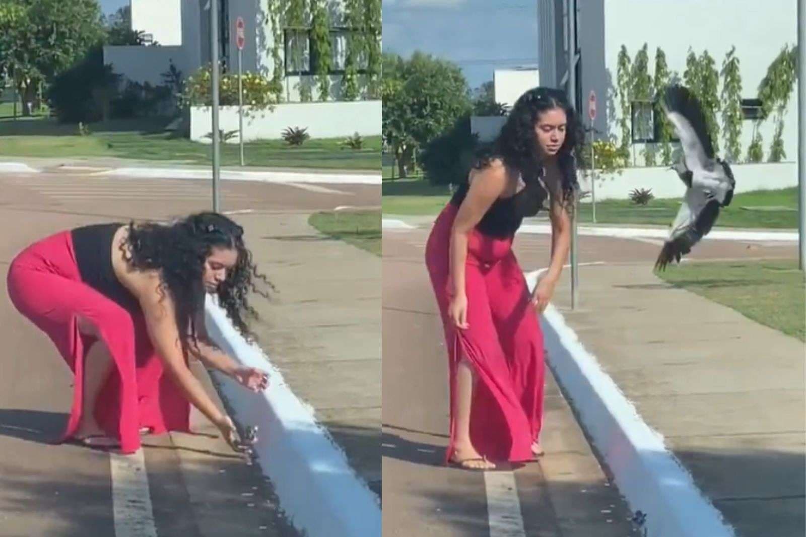 डोंट टच माई किड… बच्चे को छुआ तो पक्षी ने महिला का चोंच मार-मारकर किया बुरा हाल, वीडियो वायरल