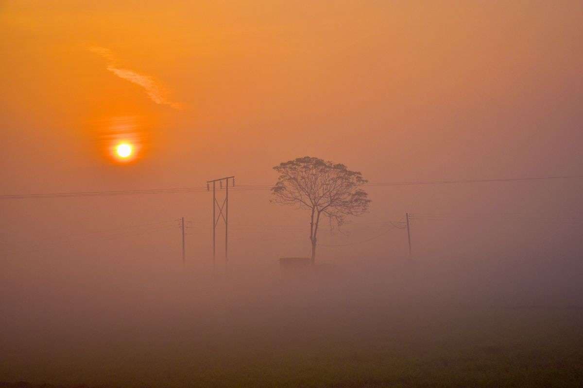 Weather Forecast: भयंकर सर्दी की आहट, मौसम विभाग ने जारी किया कोल्ड डे अलर्ट, इन राज्यों में घने कोहरे की चेतावनी
