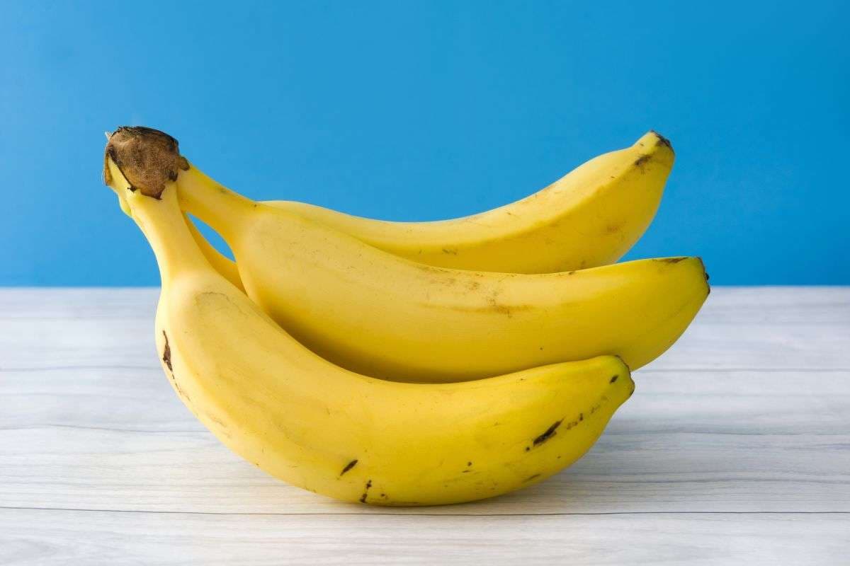केला अक्सर टेढ़ा क्यों होता है? जबकि उगता सीधा है, जानें इसके पीछे का हिस्ट्री, ज्योग्रॉफी और साइंस
