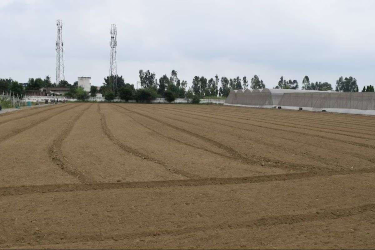 Bihar Bhumi: बिहार की जिला परिषदें जमीन के दम पर आर्थिक रूप से होगी मजबूत, जानिये क्या है खास तैयारी