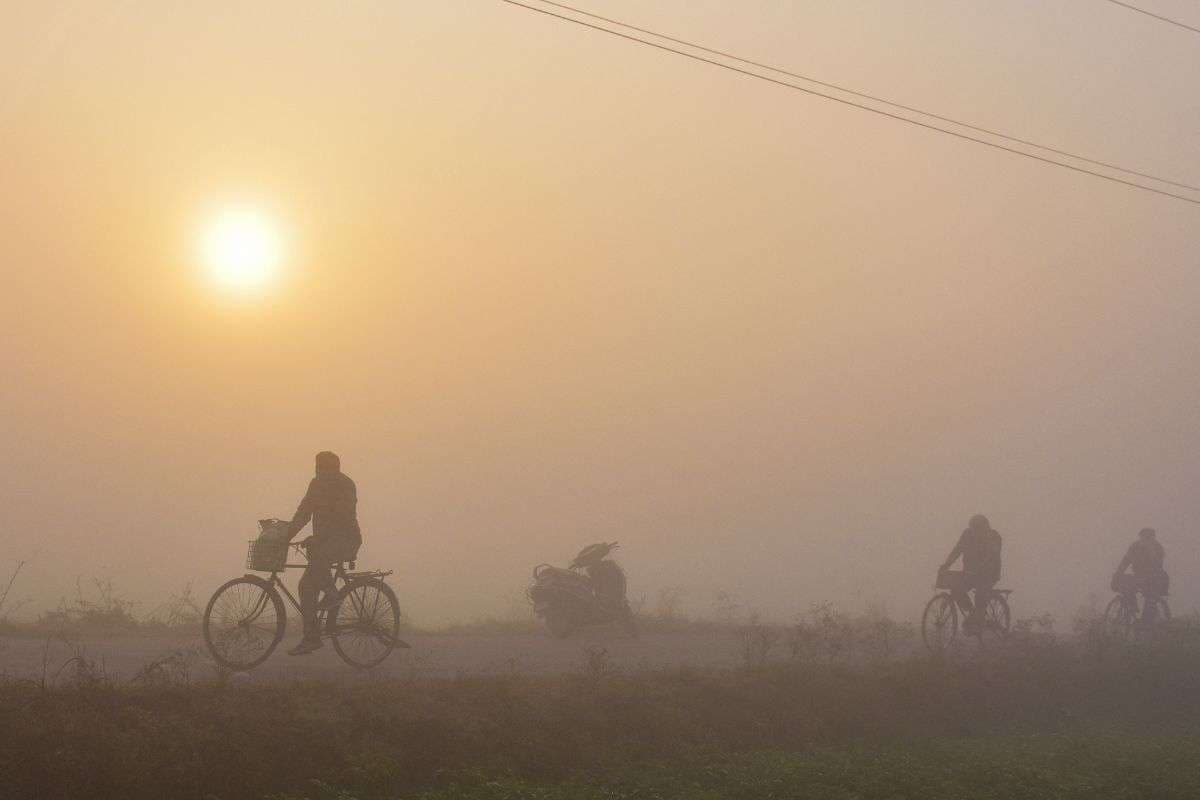 IMD Cold Alert: अगले 72 घंटे में न्यूनतम तापमान में 2 से 3 डिग्री की आएगी गिरावट, शीतलहर, बारिश, बर्फबारी और कोहरे का अलर्ट