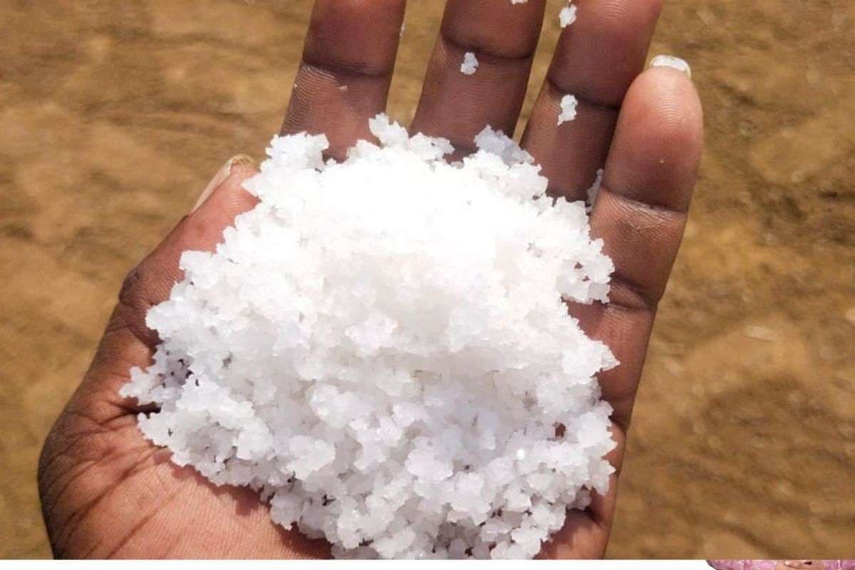 Religious Beliefs: मांगने पर भी न दें ये चीजें, वरना घर में आ सकता है आर्थिक संकट और बिगड़ सकते हैं ग्रह