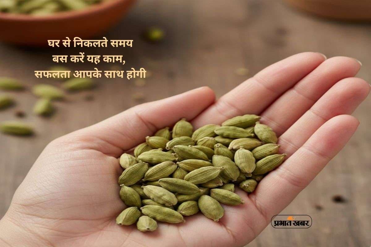 Cardamom Remedy: काम अटका है? बाहर निकलते समय आजमाएं यह उपाय, कार्य होगा सफल