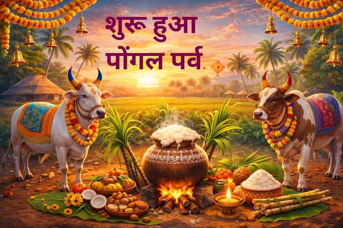 Pongal 2026: पोंगल पर्व शुरू, जानें इसका धार्मिक और सांस्कृतिक महत्व