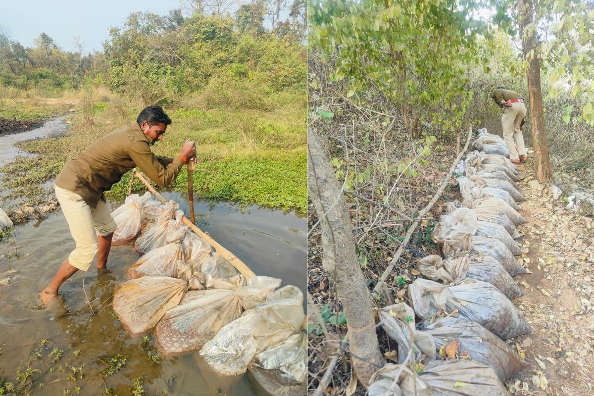 निकाय चुनाव से पहले पुलिस की कड़ी कार्रवाई, 2000 KG जावा 80 लीटर अवैध शराब किया नष्ट