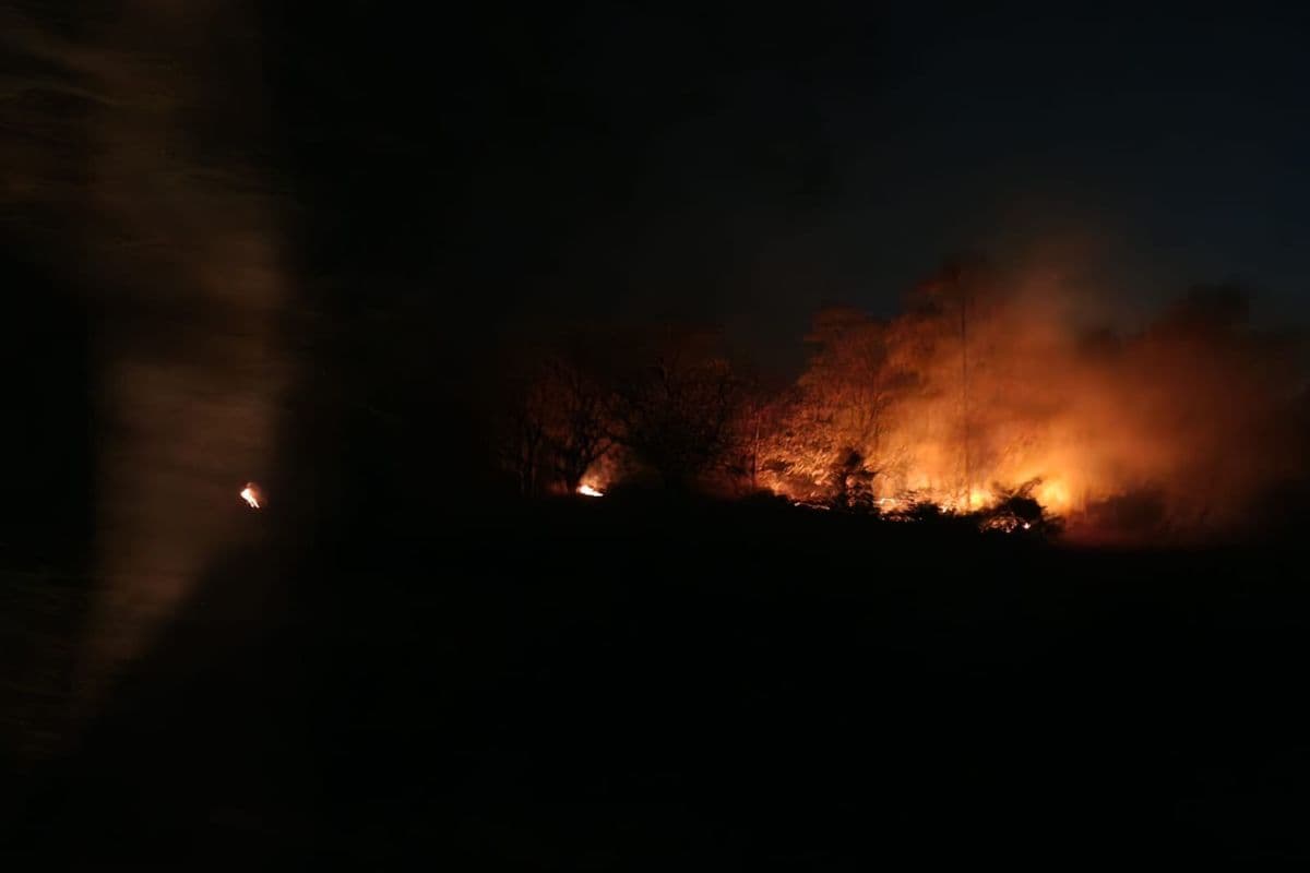 Giridih: पीरटांड़ के जंगलों में फिर धधकी आग, जड़ी-बूटियों और वन्यजीवों को भारी नुकसान