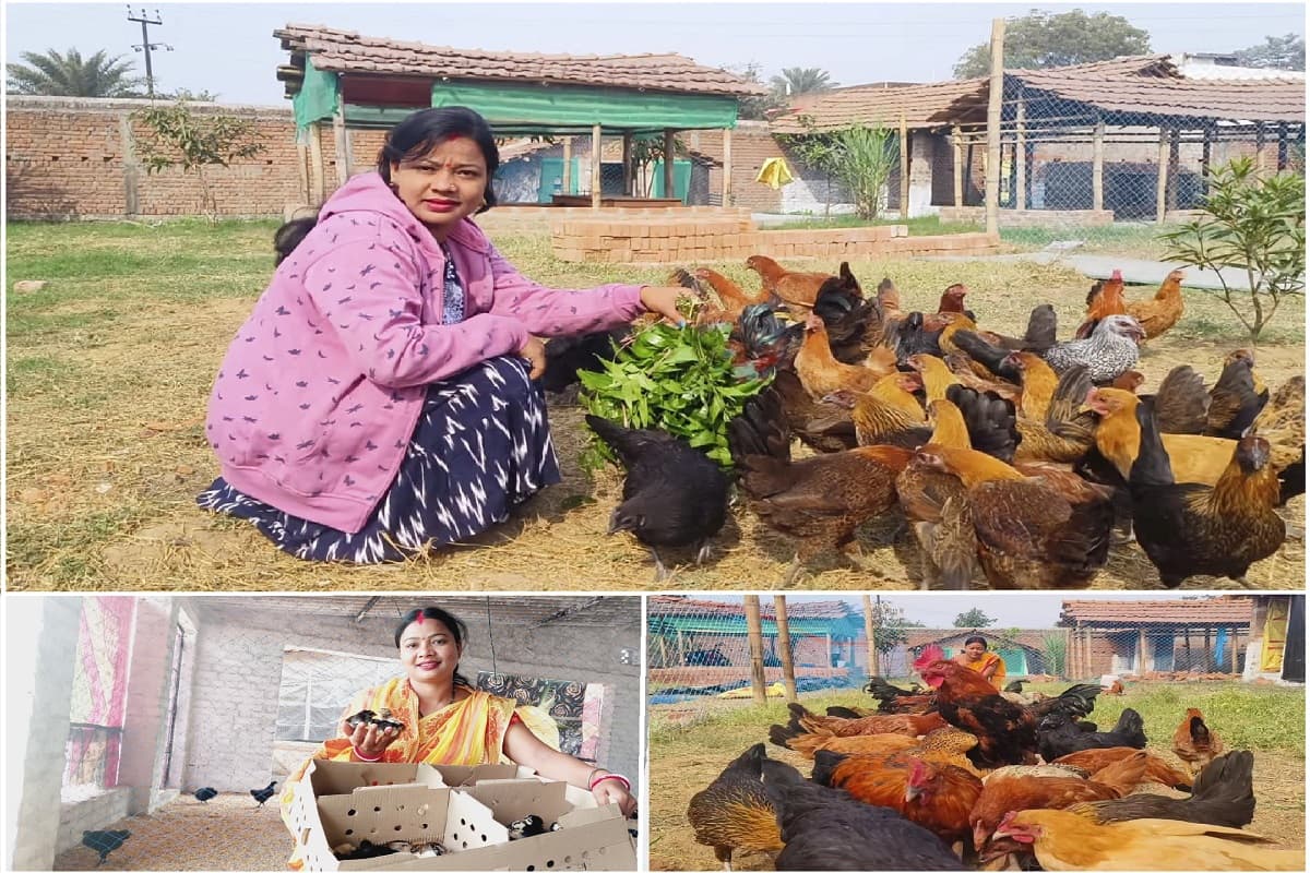 छत से शुरू हुआ मुर्गी पालन का सफर, धनबाद की पूनम कुमारी बनीं देश की सफल महिला उद्यमी