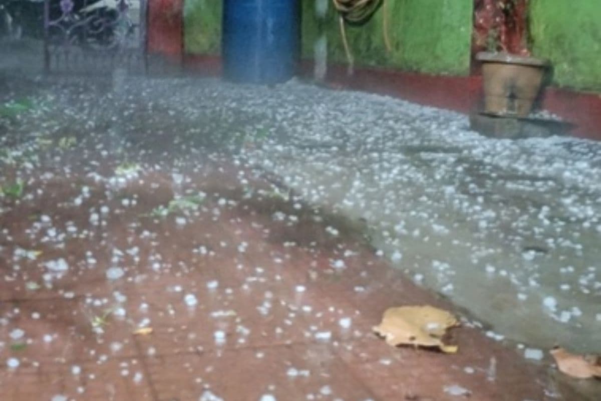 Chaibasa: सारंडा में 20 मिनट की ओलावृष्टि से सफेद हुआ शहर, आम-लीची को नुकसान