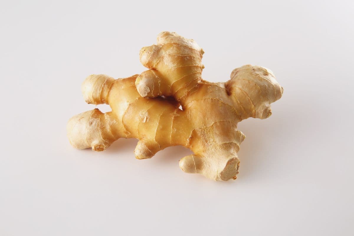 अदरक रहेगा ताजा, फ्रिज में स्टोर करने के लिए इन टिप्स को करें ट्राई 