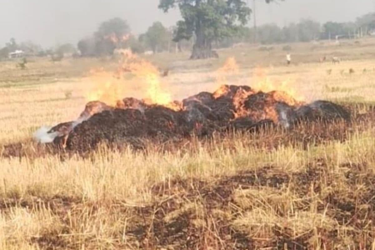 चतरा के सोकी गांव में खलिहान में रखा गेहूं में लगी आग, 500 बोझा जलकर राख