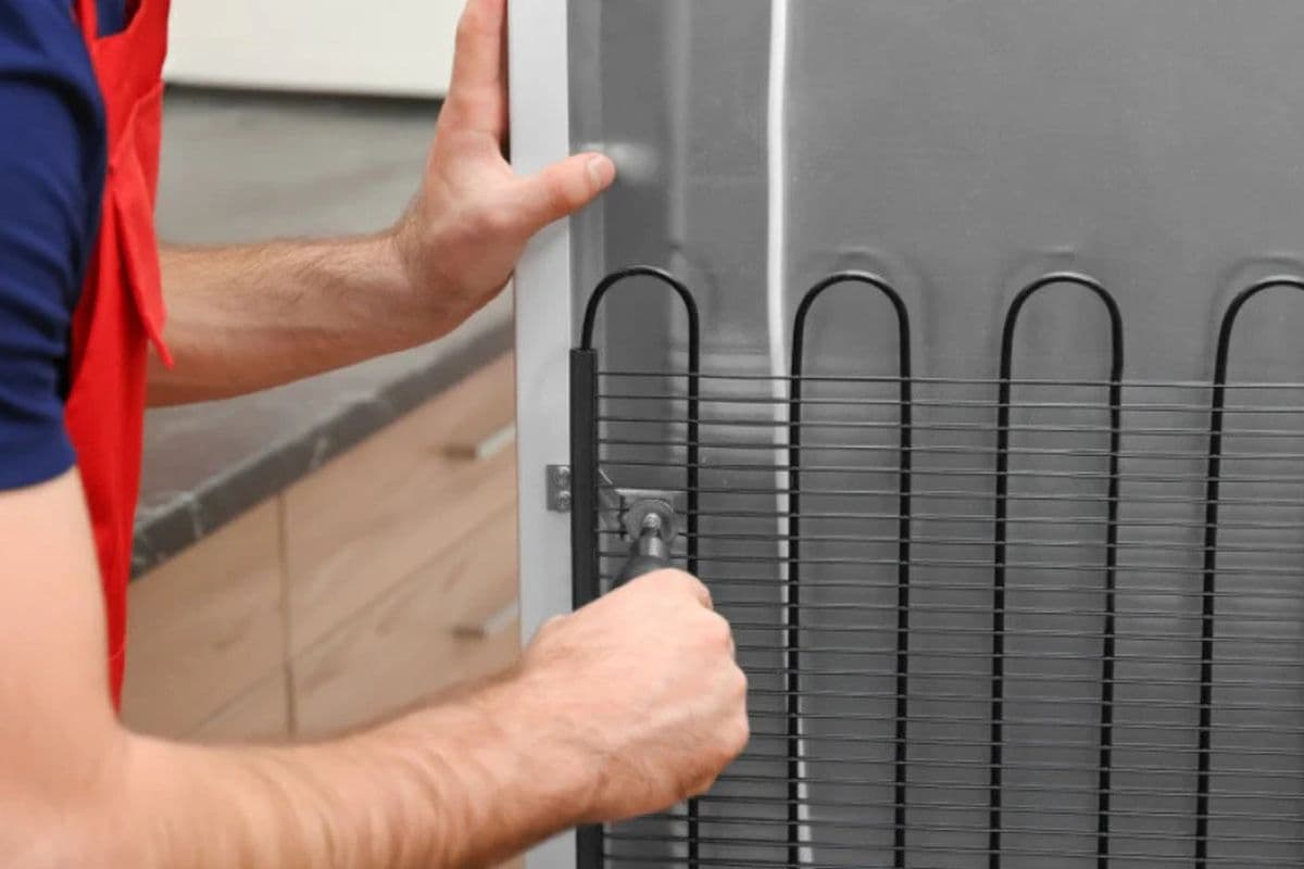 फ्रिज के पीछे लगी कॉइल्स क्या काम करती हैं? जानें इन्हें कब और कितनी बार साफ करना चाहिए?