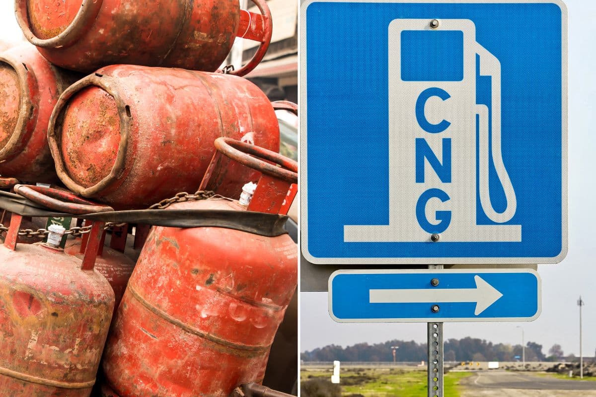 LPG, CNG, PNG के नए रेट जारी, जानें आपके शहर में आज क्या है कीमत